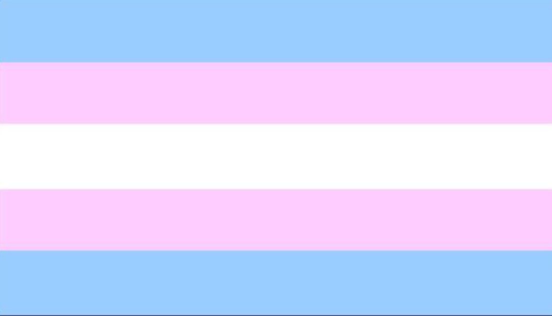 Evropski parlament poziva k upoštevanju človekovih pravic transspolnih oseb